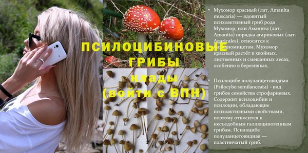 jwh Алзамай