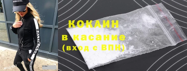 крисы Алексин