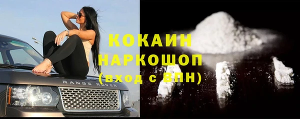 крисы Алексин