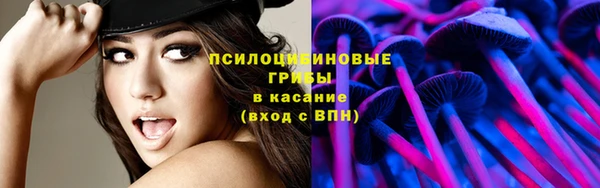 spice Пересвет