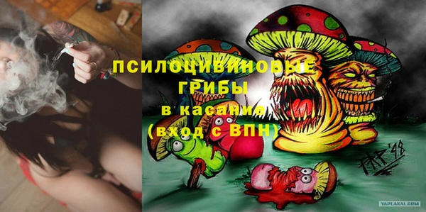 крисы Алексин