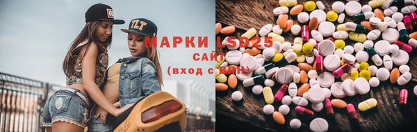 крисы Алексин